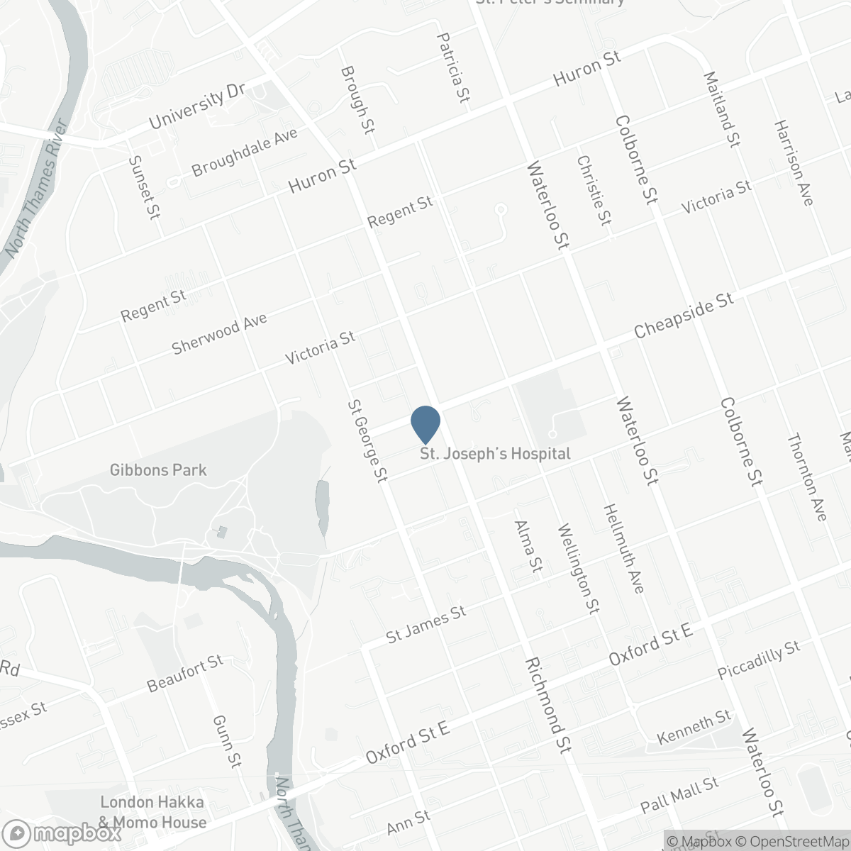 203 CHEAPSIDE STREET, London, Ontario N6A 1Z9